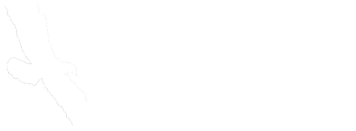 Click to open the Bank of Missouri website in a new tab